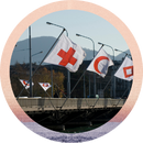ICRC flags 