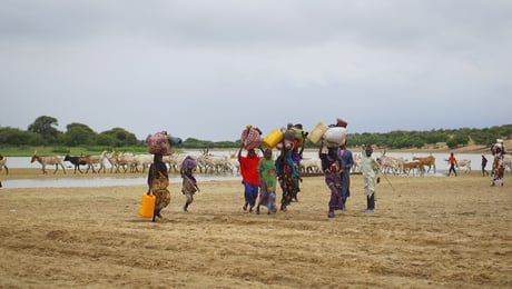 Aburas_IMAGE 1