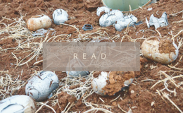 L&P Newsletter small images (28).png