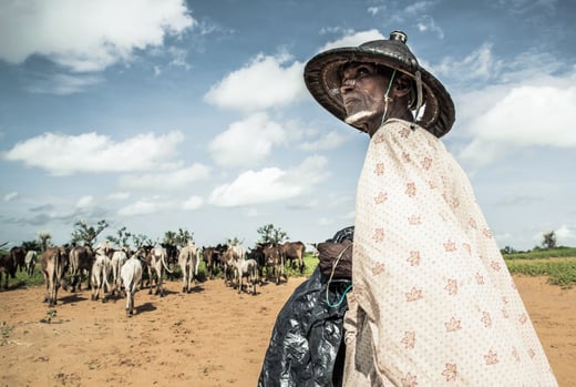 climate_change_conflict_samuel_turpin_mali